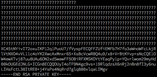 Corrupted RSA Key